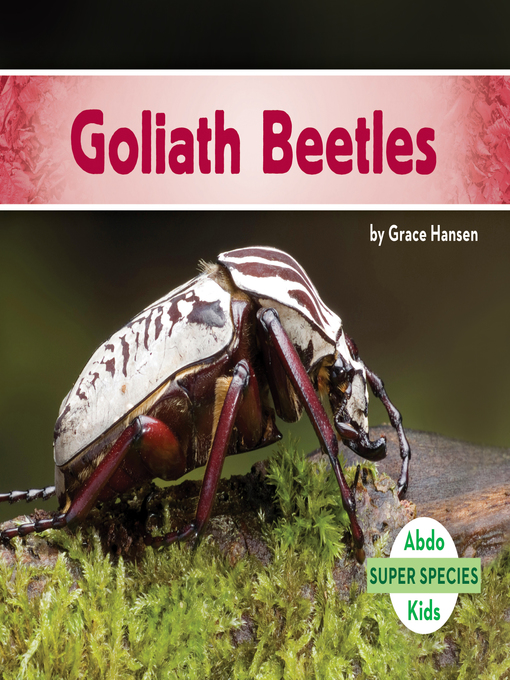 Grace Hansen创作的Goliath Beetles作品的详细信息 - 可供借阅